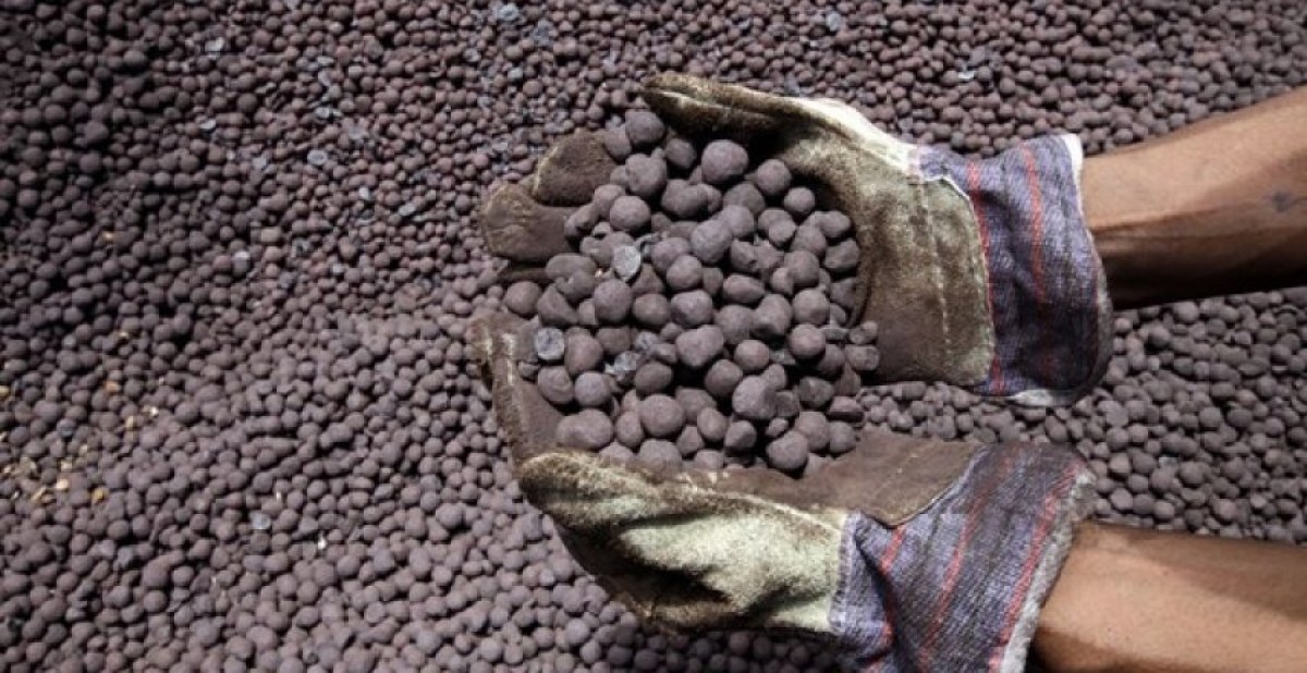 احیای مستقیم